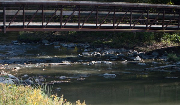 A photo of the Humber River