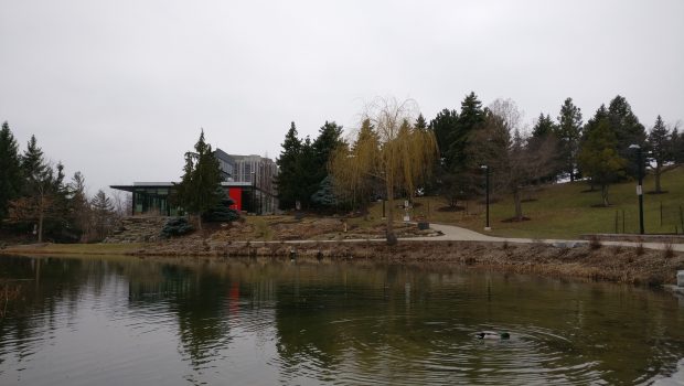 A scenic photo of the Humber Arboretum, showing the pond and the centre for urban ecology.